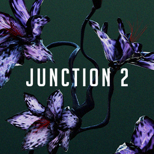 Junction 2  Image